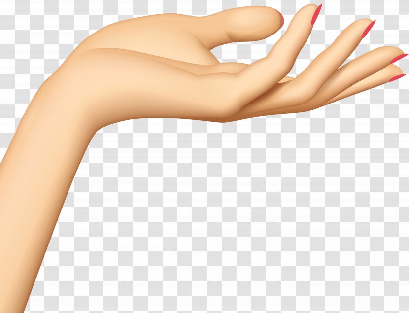 Hand Clip Art - Skin - Hands Transparent PNG