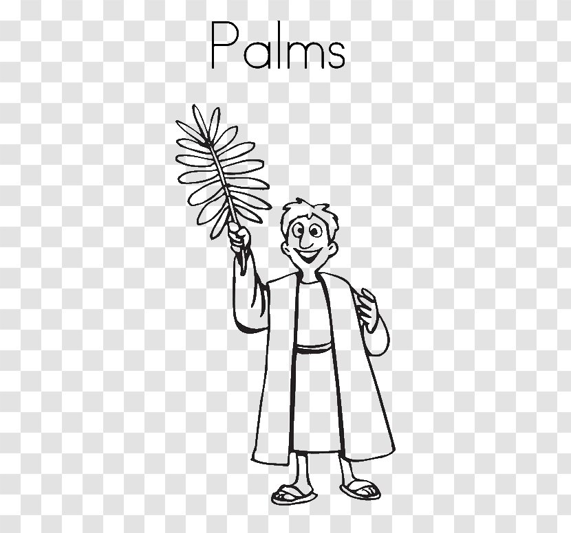 Coloring Book Arecaceae Tree Date Palm - Sunday Transparent PNG
