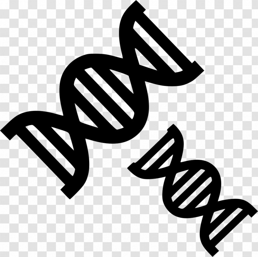 DNA Nucleic Acid Double Helix Vector Clip Art Genetics - Biology Transparent PNG