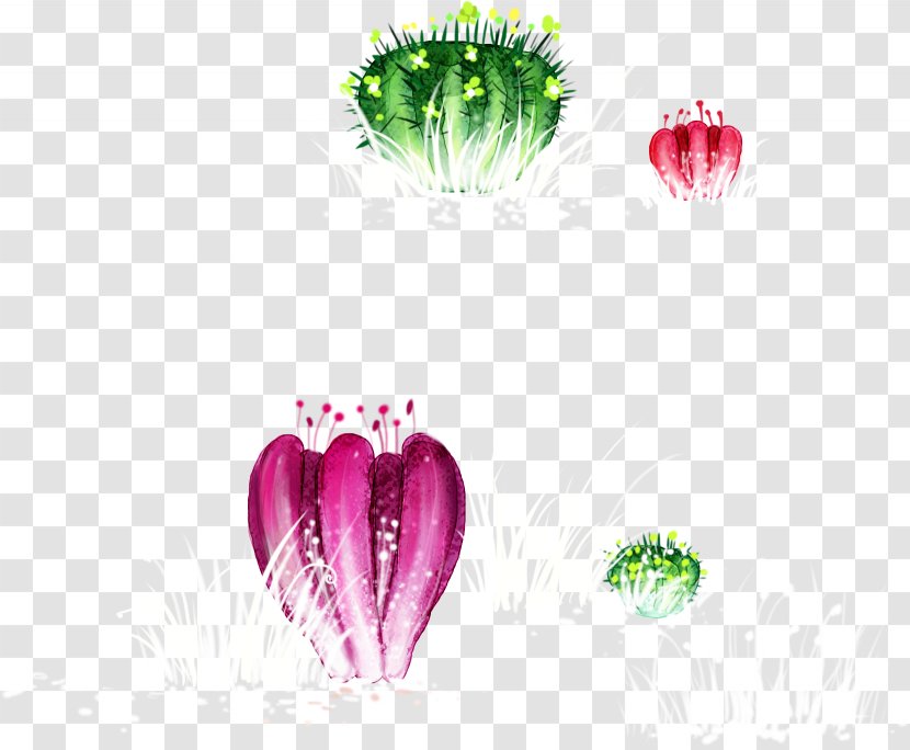 Cartoon Cactaceae - Heart - Hand-painted Cactus Transparent PNG