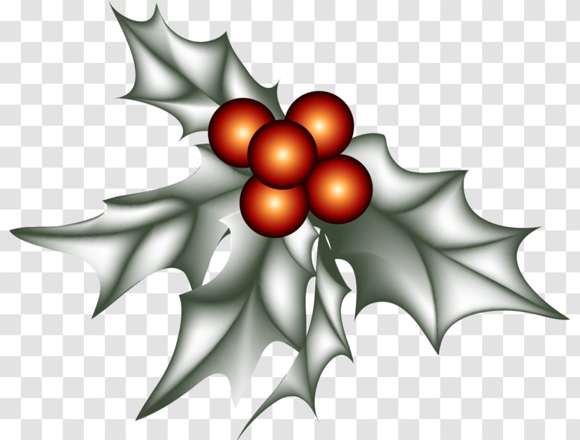 Holly Christmas Day Design Image - Botanic Ornament Transparent PNG
