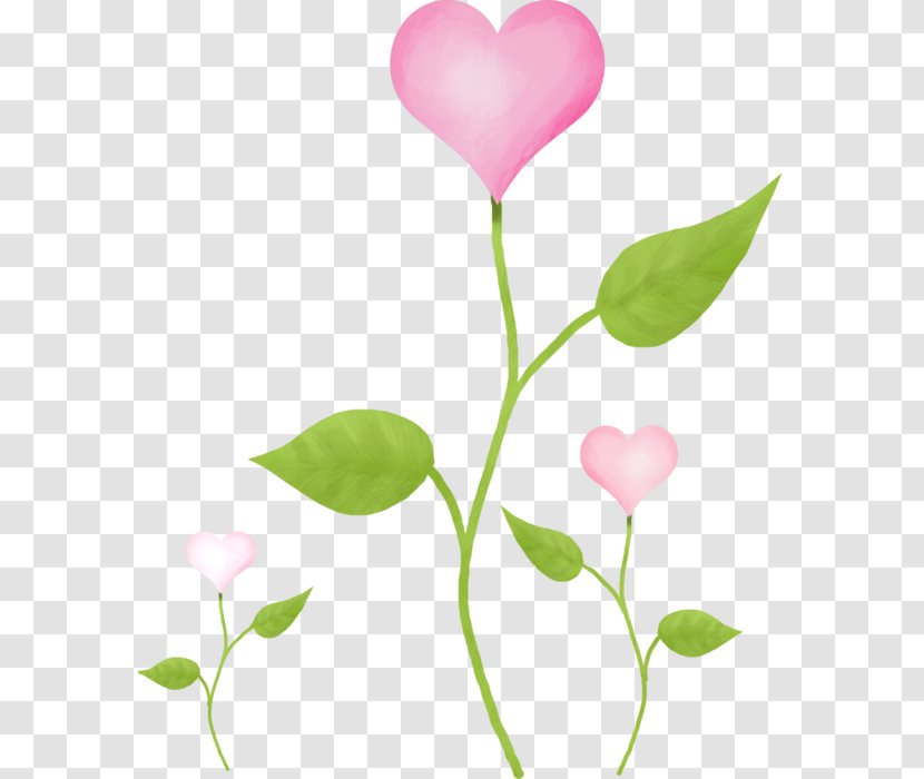 Pink Clip Art - Flowering Plant - Green Transparent PNG
