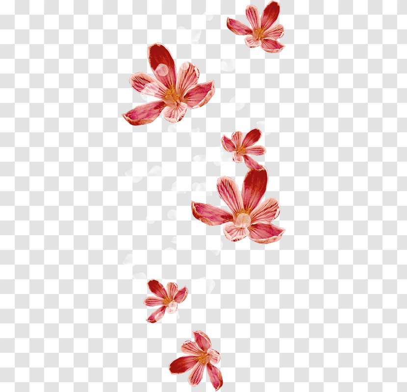 Petal RGB Color Model Flower - Flowering Plant Transparent PNG