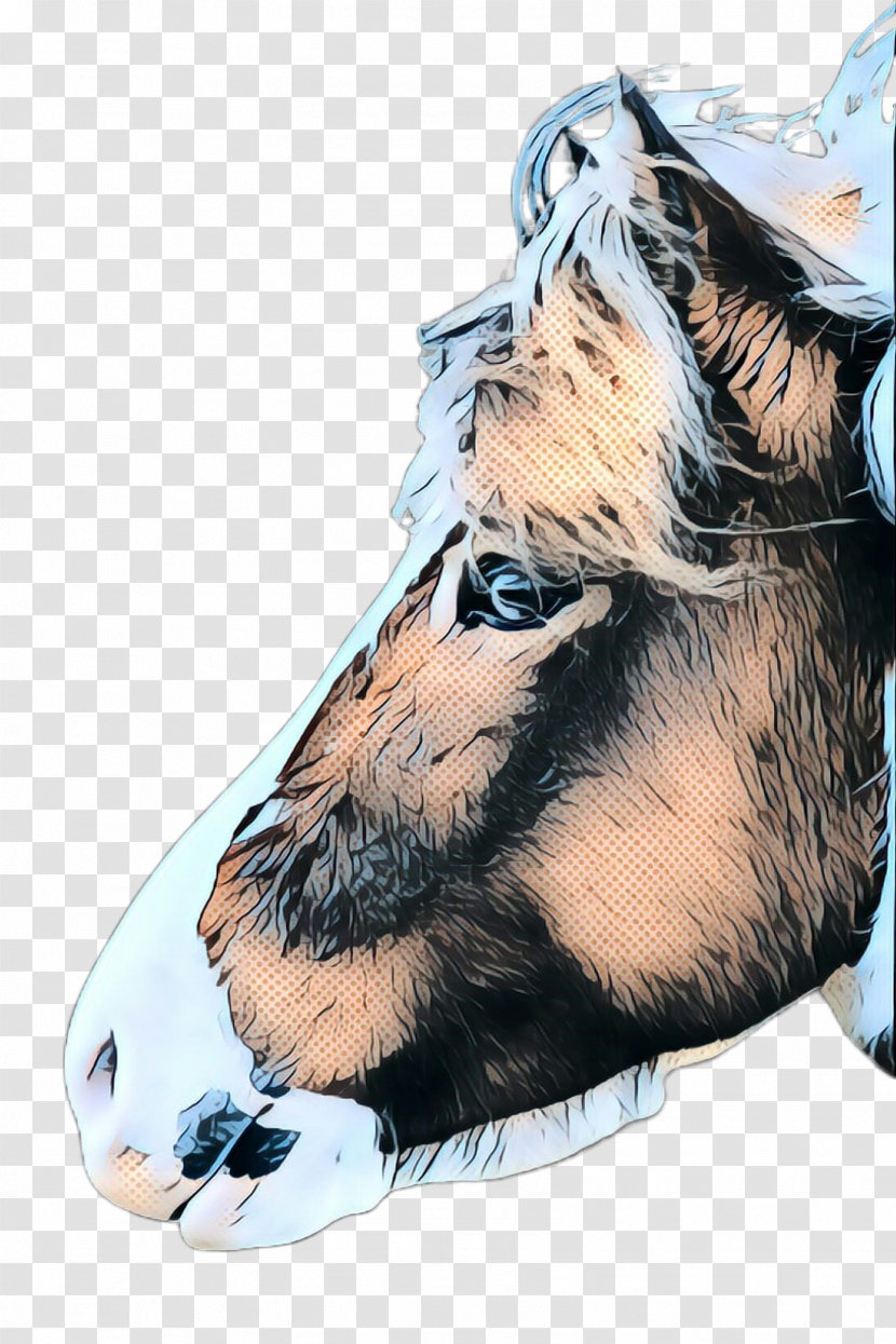 Nose Snout Fictional Character Horse Ear Transparent PNG