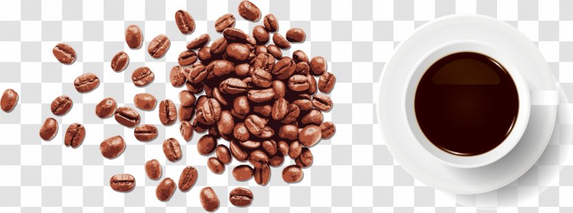Coffee Bean Espresso Cafe - Gourmet Transparent PNG