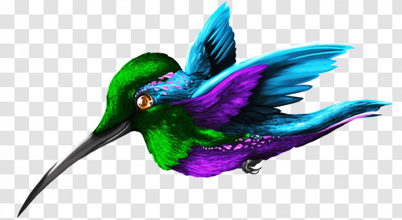 Hummingbird Beak Wing Feather - Purple Transparent PNG