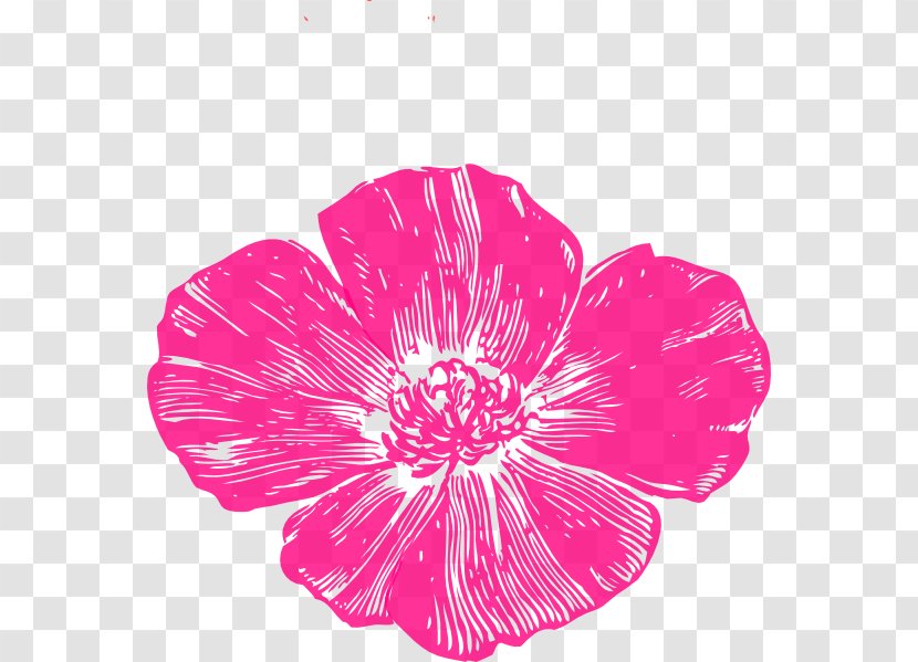 Poppies Bakery & Café Remembrance Poppy Clip Art - Armistice Day - Hot Pink Transparent PNG