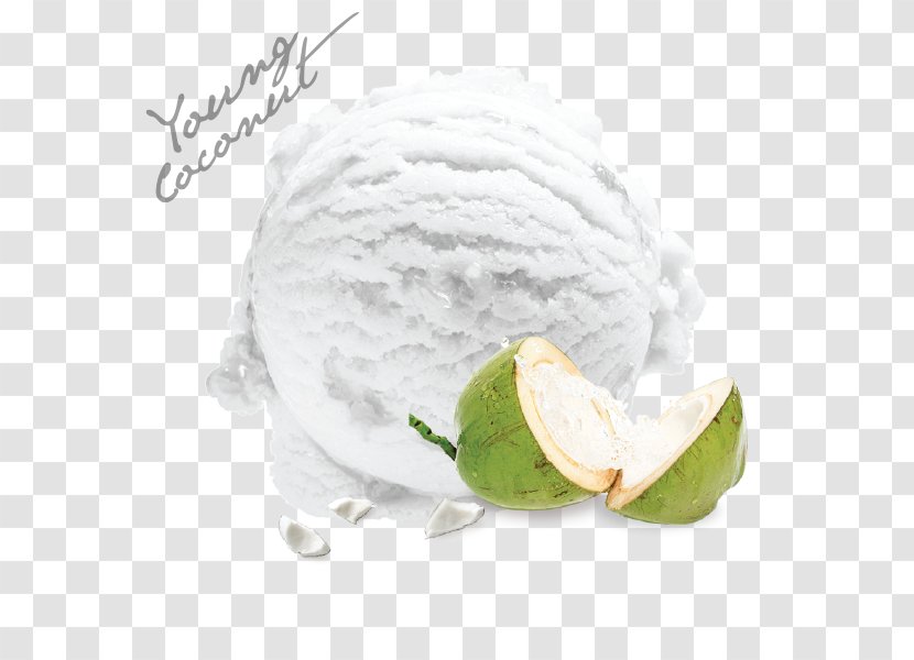 Ice Cream Coconut Milk Flavor - Fruit - ต้นมะพร้าว Transparent PNG