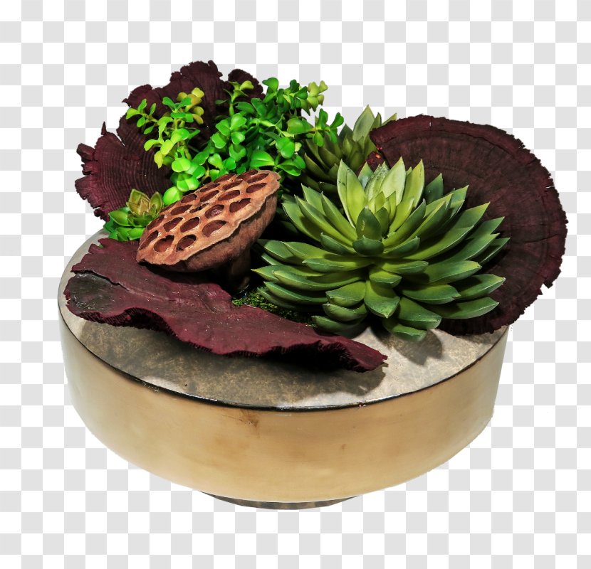 Flowerpot Superfood Plant Transparent PNG