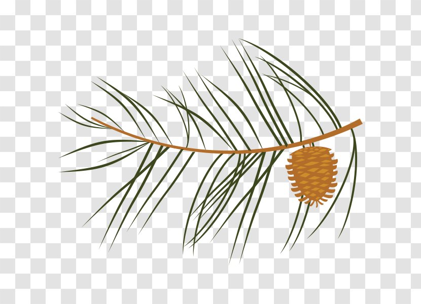 Twig Leaf Tree Pine Clip Art - Evergreen - Branch Transparent PNG