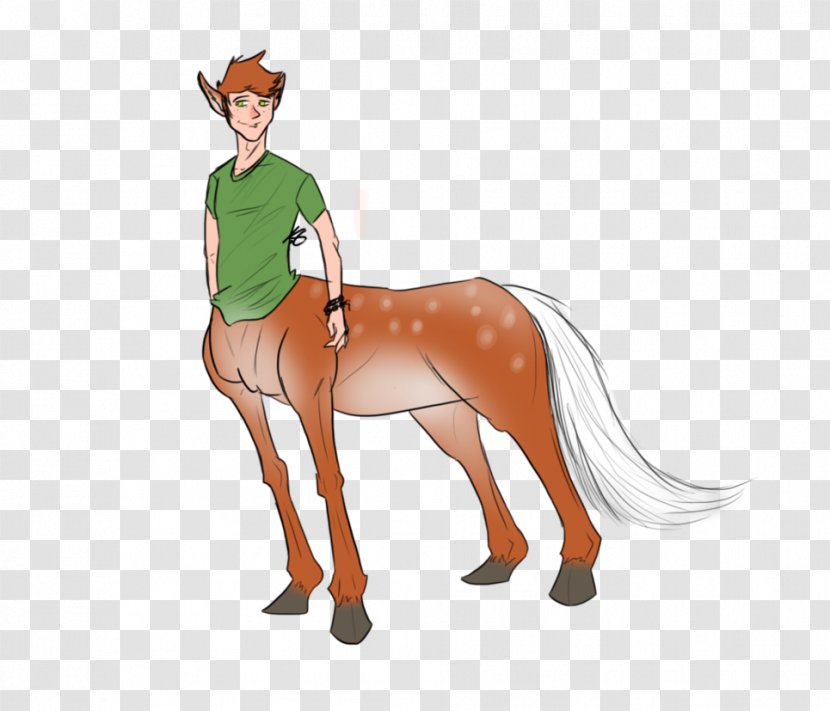 Mustang Stallion Pony Colt Pack Animal - Centaur Transparent PNG