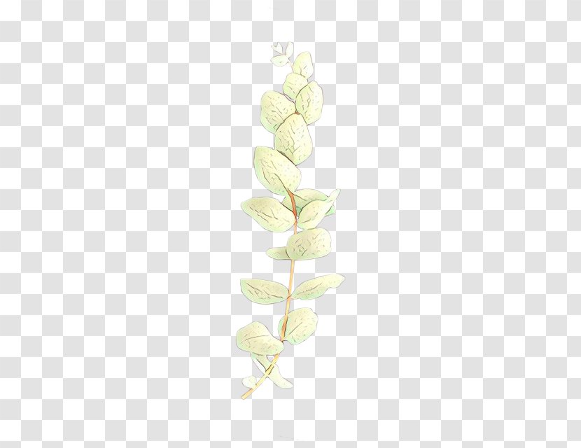 White Flower Plant Pedicel Flowering Transparent PNG