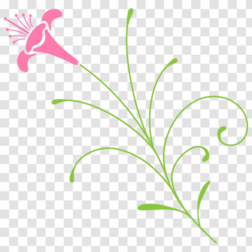 Leaf Plant Pedicel Flower Stem - Flowering - Grass Transparent PNG