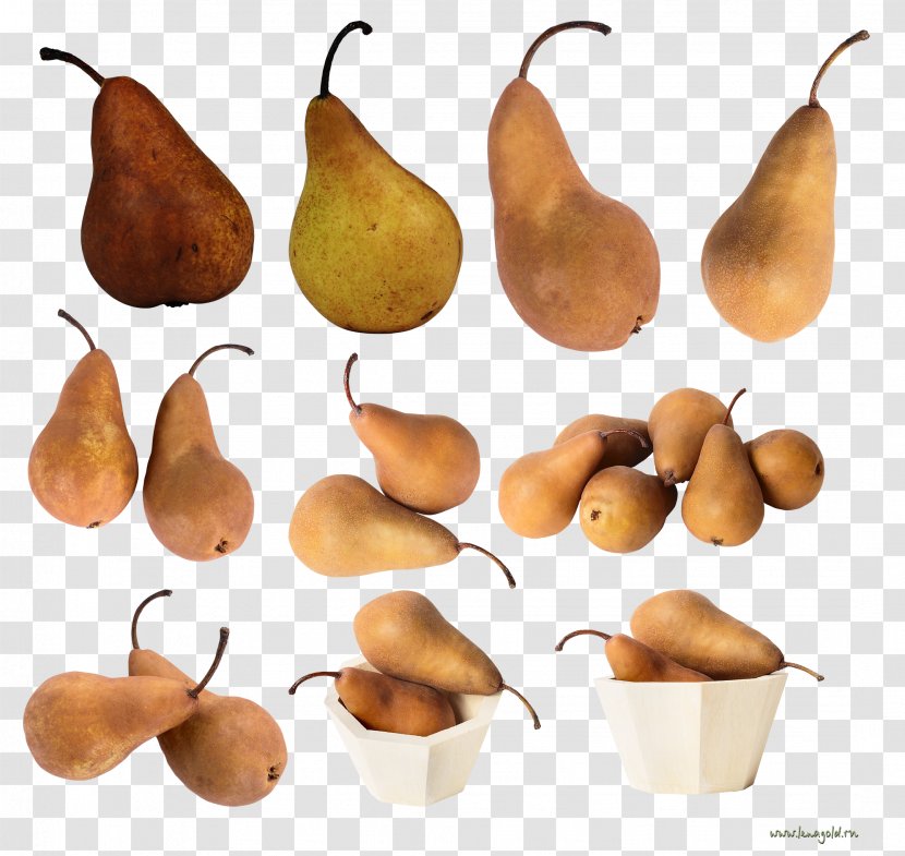 Pear Food Fruit - Megabyte Transparent PNG