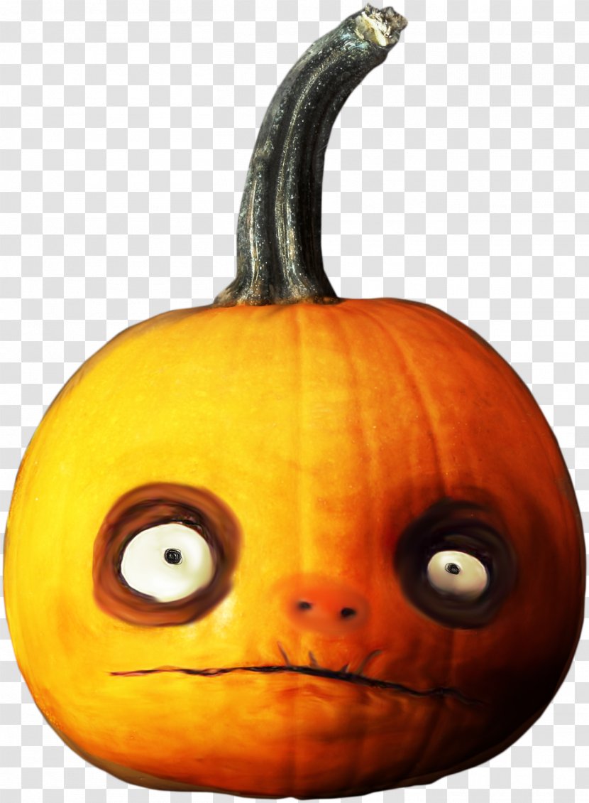 Pumpkin Cucurbita Jack-o'-lantern Gourd Winter Squash Transparent PNG