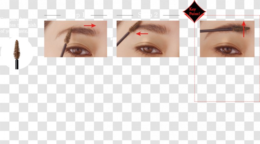 Eyelash Extensions Eye Shadow Liner Eyebrow - Chin Transparent PNG