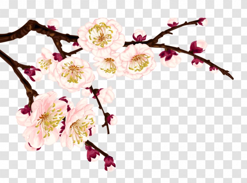 Download Pink Computer File - Resource - Plum Flower Transparent PNG