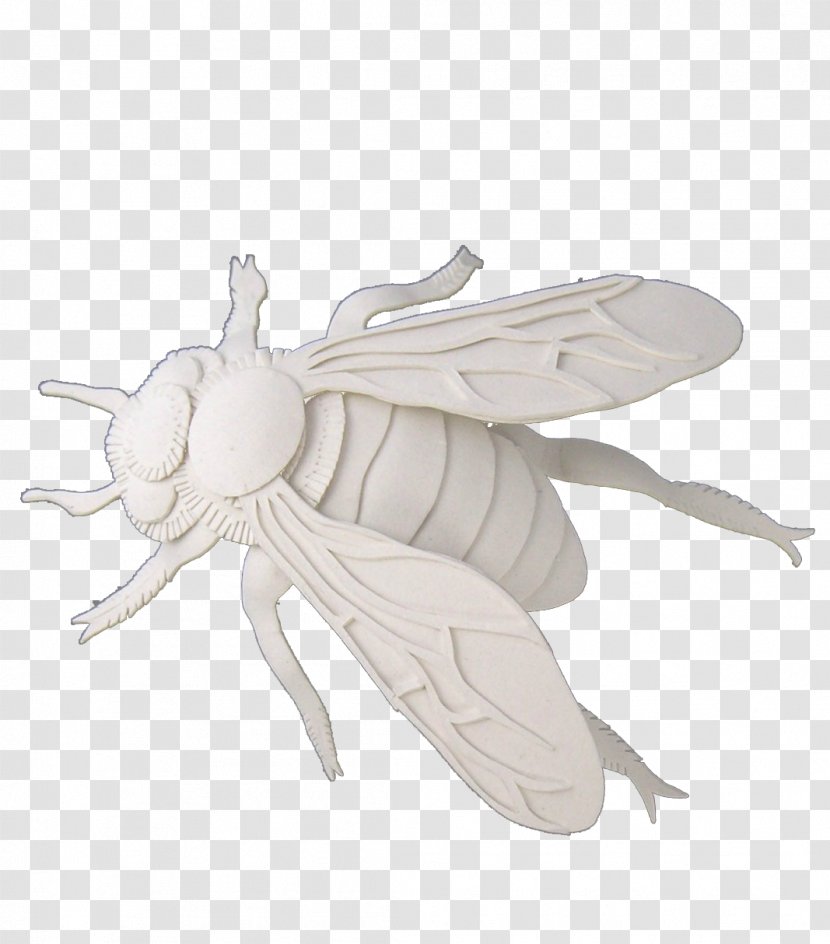 Bee Insect Paper - Architecture - Cut Cicadas Transparent PNG