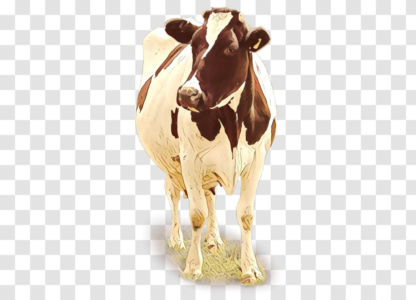 Dairy Cow Bovine Calf Cow-goat Family Livestock - Cartoon - Fawn Transparent PNG