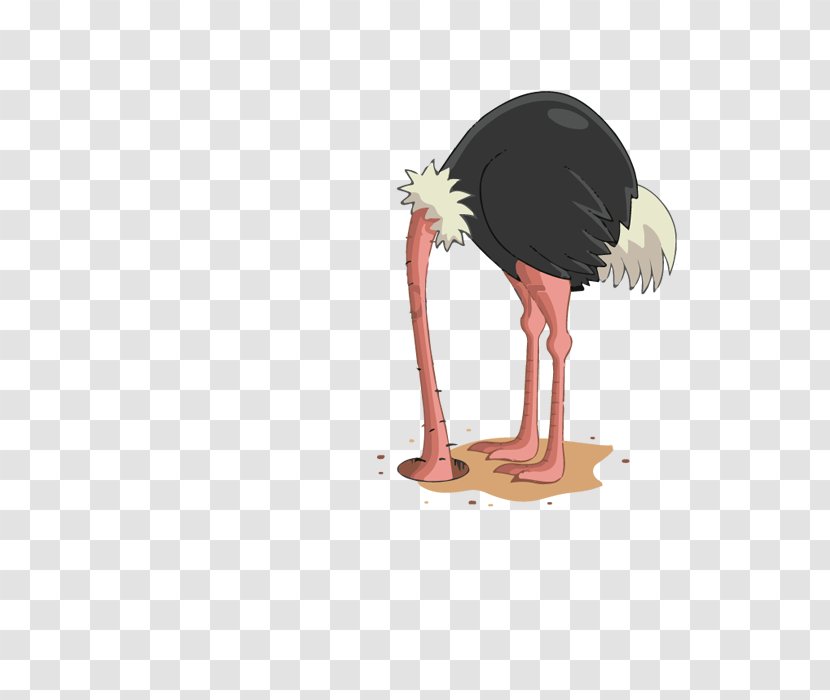 Common Ostrich Flightless Bird Ratite Dino Dreams Transparent PNG