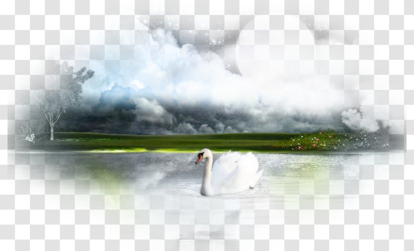 Water Resources Nature Desktop Wallpaper Inlet Transparent PNG