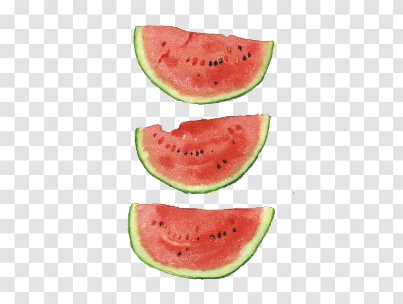 Watermelon Watercolor Painting Art Illustration Transparent PNG