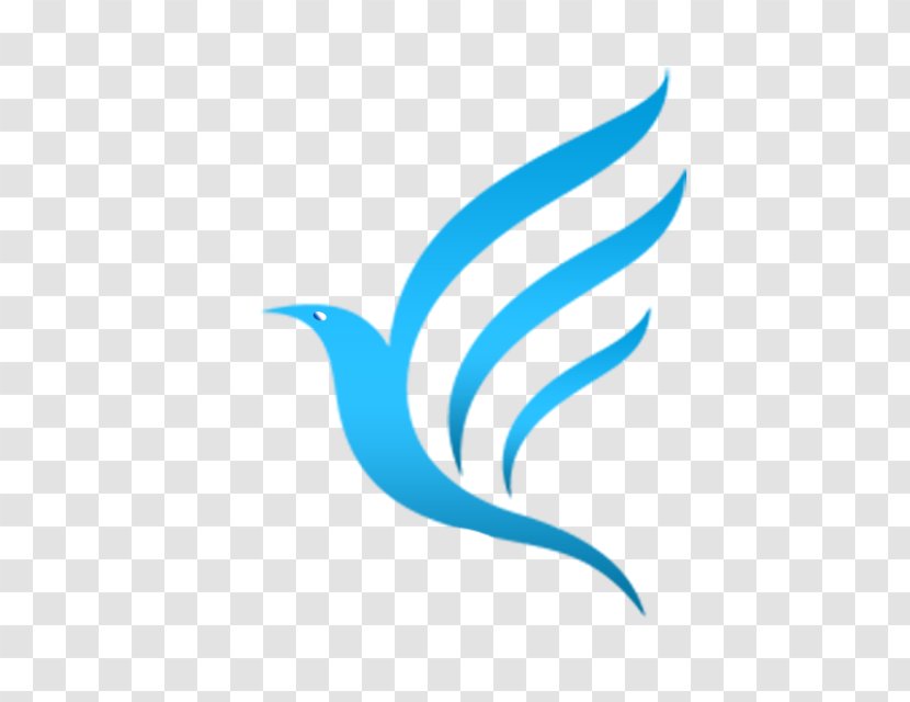 Bird Logo - Beak Transparent PNG
