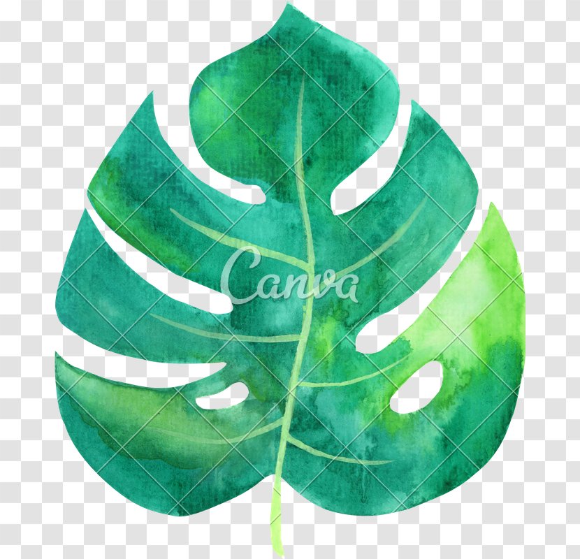 Hammock Leaf Image Clip Art Transparent PNG