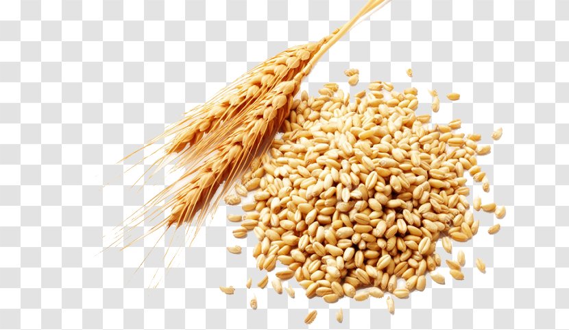 Wheat Berry Cereal Spelt - Coarse Cereals Transparent PNG