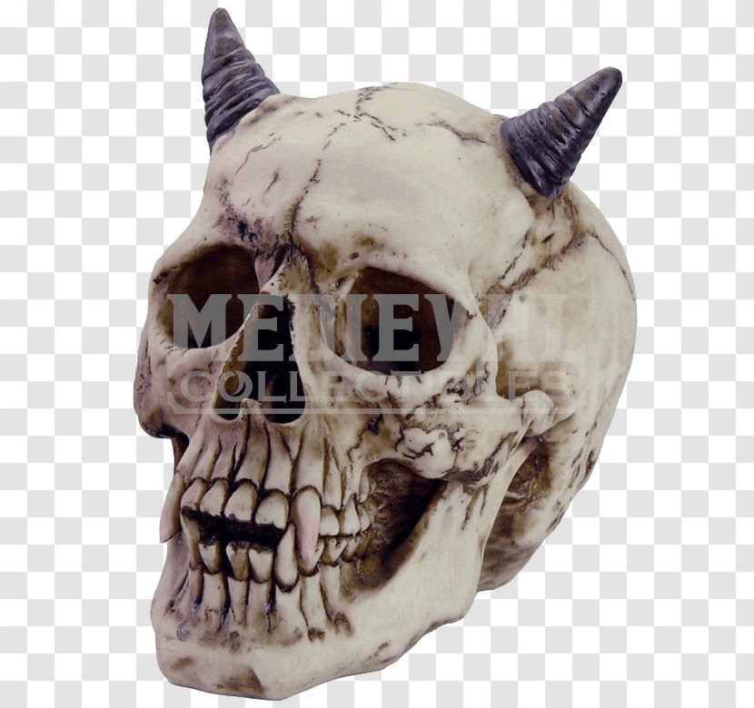 Skull Demon Horn Statue Devil - Jaw Transparent PNG