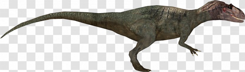 Gasosaurus Allosaurus Zoo Tycoon: Dinosaur Digs Ornitholestes Tycoon 2 - Thumbnail Transparent PNG