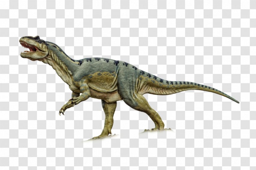 Tyrannosaurus Dinosaur Velociraptor Giganotosaurus Bird - Terrestrial Animal Transparent PNG
