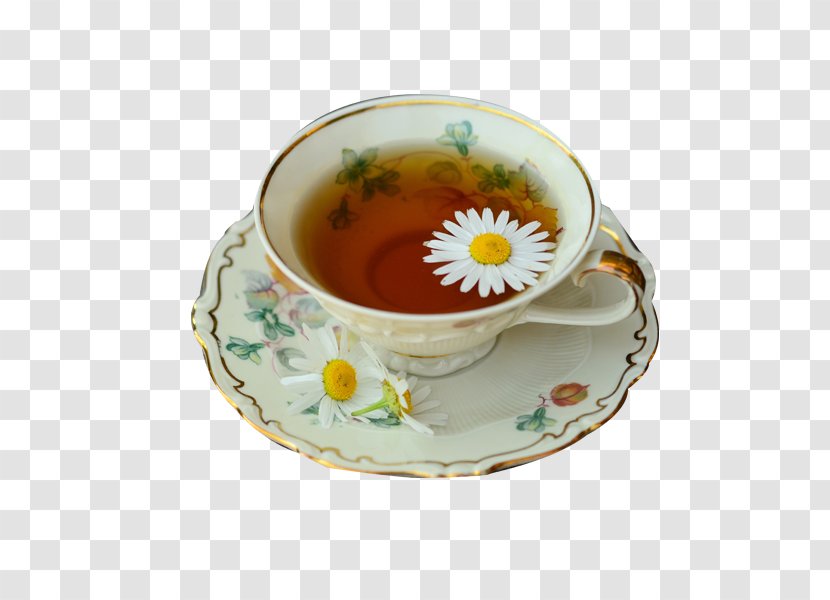 Green Tea Drink Herbal - Matricaria - Exquisite Chrysanthemum Transparent PNG