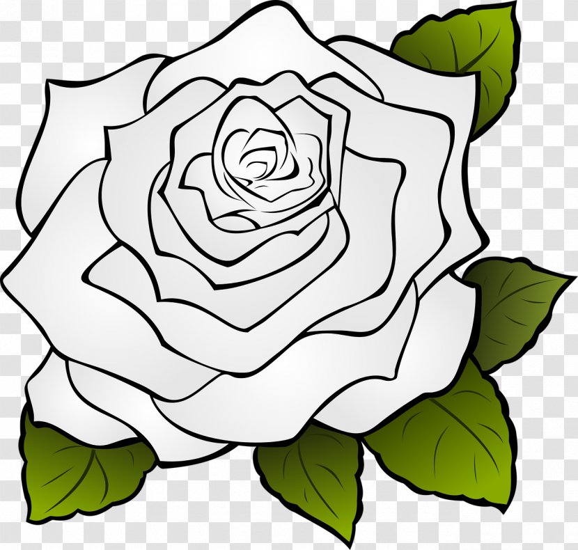 Coloring Book Still Life: Pink Roses Flower - Green - Rose Transparent PNG