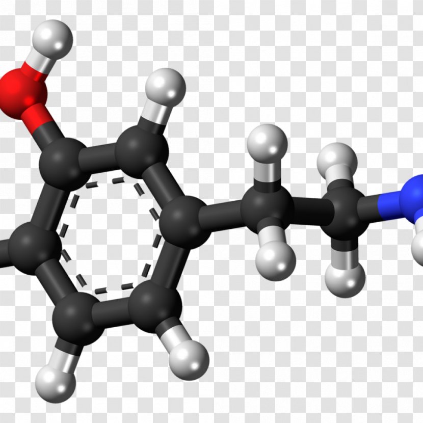 Chemical Compound N-Methylphenethylamine Trace Amine Chemistry Aromatic L-amino Acid Decarboxylase - Amino - Molecule Transparent PNG