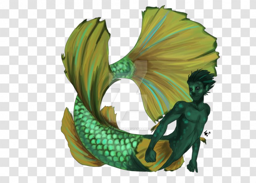 Siamese Fighting Fish A Mermaid Merman Legendary Creature - 71 Degrees North - Betta Transparent PNG