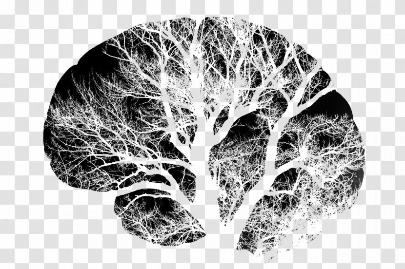Human Brain Neuron Nervous System Damage - Watercolor Transparent PNG