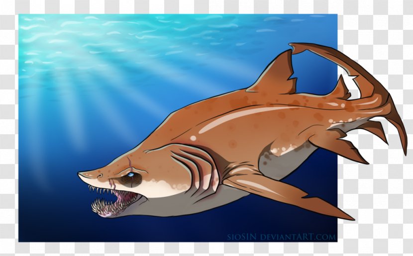 Tiger Shark Requiem Sharks Marine Biology Transparent PNG