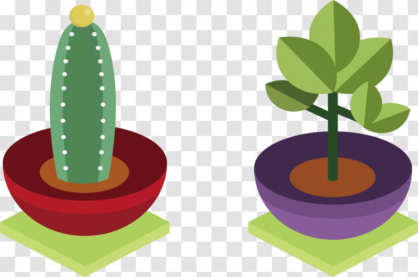 Cactaceae Plant Euclidean Vector - Cape Jasmine - Potted Cactus Transparent PNG