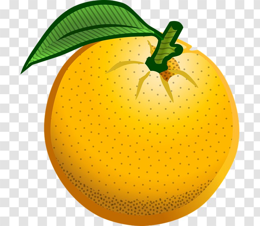 Orange Clip Art - Annoying - Fruit Transparent PNG