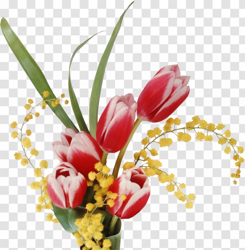 Laptop Desktop Wallpaper Flower Tulip 1080p - Cut Flowers - March Transparent PNG
