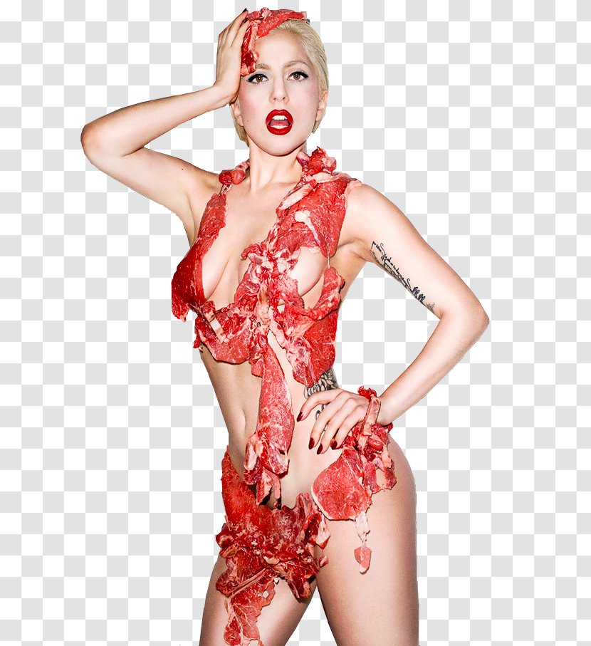 Lady Gaga's Meat Dress - Frame - Glamour Clipart Transparent PNG