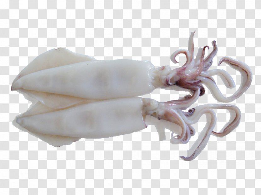 Squid As Food Octopus Meat Sweet And Sour - Frying Transparent PNG