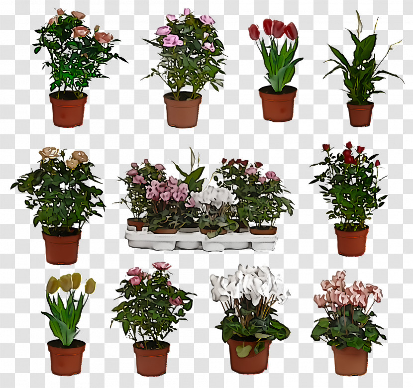 Flower Flowerpot Plant Houseplant Grass Transparent PNG