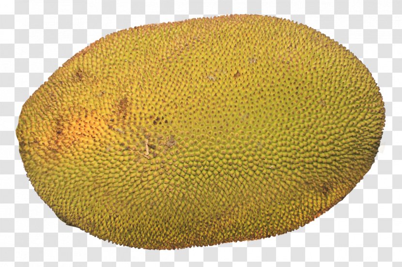 Citrus Kiwifruit Cempedak - Jackfruit Transparent PNG