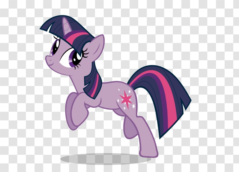 Pony Twilight Sparkle Rainbow Dash Flash Sentry - Silhouette - Tree Transparent PNG