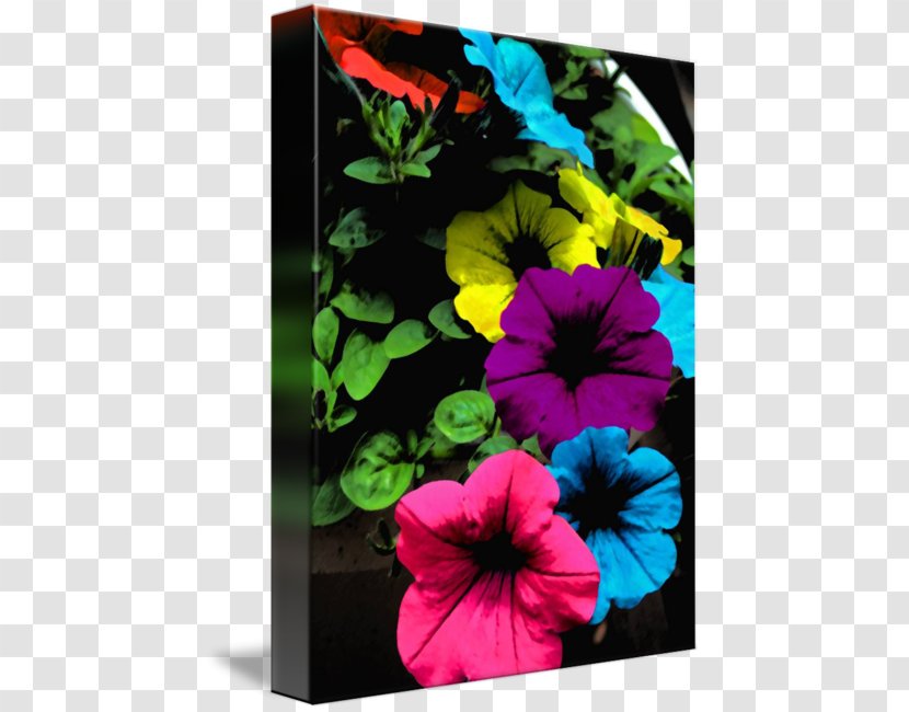 Rosemallows Pansy Annual Plant - Flowering - Andy Warhol Transparent PNG