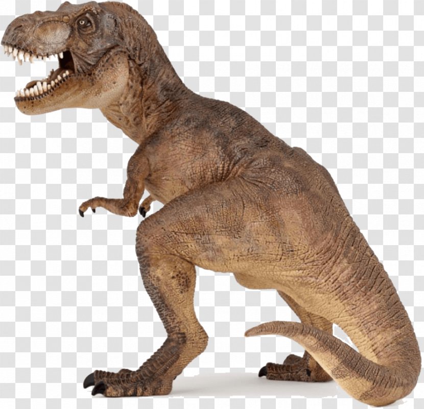 Tyrannosaurus Dinosaur Museum Velociraptor Triceratops - Animal Figure Transparent PNG