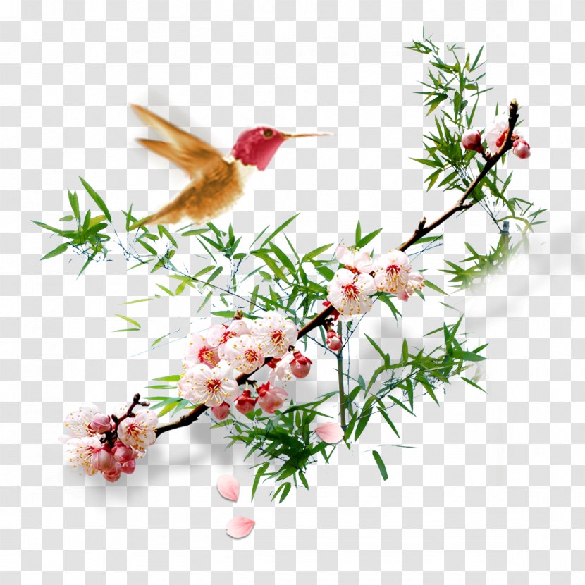 Floral Design Apricot Plum Blossom Flower - Plant - Flowers Transparent PNG