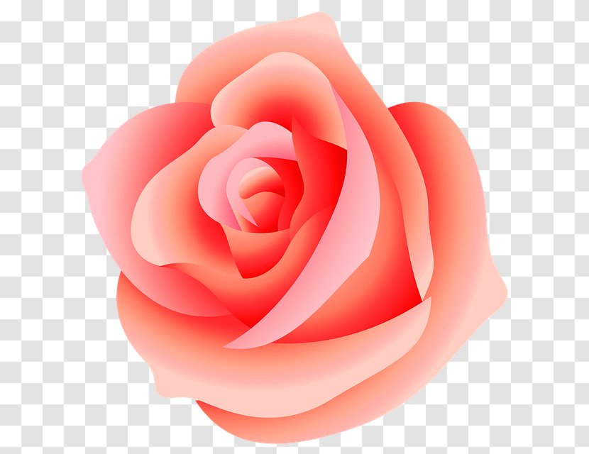 Rose Clip Art - Image File Formats Transparent PNG